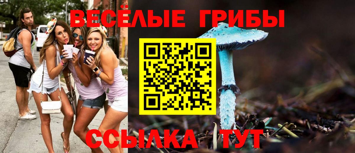 Новосибирск  Галлюциногенные грибы прущие грибы  Галлюциногенные грибы мицелий  Вход с VPN 